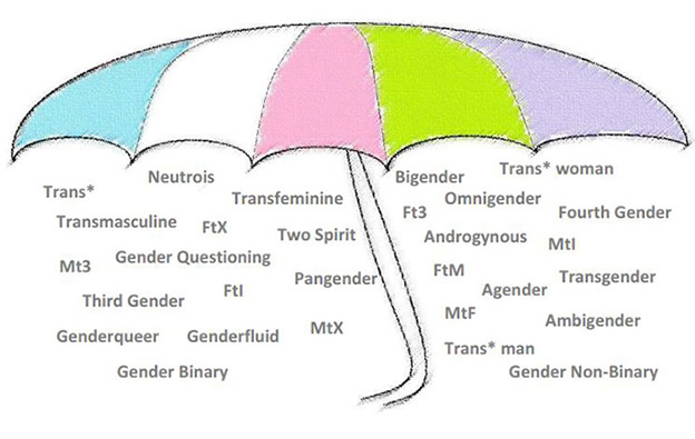 Graphic design of an umbrella with a the canopy sectioned into five colors; baby blue, white, baby pink, neon green, and light purple. The umbrella contains all recent terms that fit under the Trans* umbrella. The handle of the umbrella aids in creating a line between two sides of the umbrella. Under the canopy are a list of terms used under the Trans* umbrella. On the right side are the terms: Trans*, Neutrois, Trans-feminine, Trans-masculine, FTX, Two Spirit, Gender Questioning, MT3, Pan-gender, FTl, Third Gender MtX, Gender-queer, Gender-fluid, and Gender Binary. Under the left side are the terms: Trans* woman, Bi-gender, Omni-gender, Ft3, Fourth Gender, MTl, Androgynous, FtM, Transgender, A-gender, MtF, Ambi-gender, Trans*man, Gender non-Binary. This image is used to show all the various ways “gender” is seen.