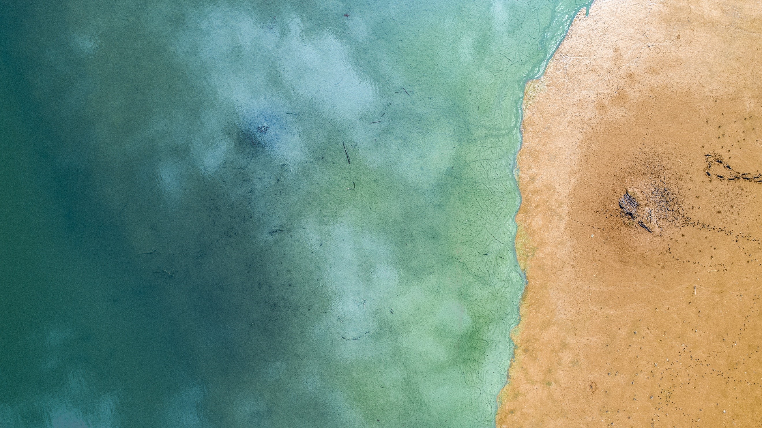 In the right of the image is a still aqua green ocean that fills majority of the picture. The water hits the ocean’s shore, which is a soft, light brown color. It appears to be an unoccupied beach and is private. The image gives one the feeling of peace and tranquility. This is the same feeling one might feel knowing that their deepest thoughts and feelings will be protected and will be private when in therapy.